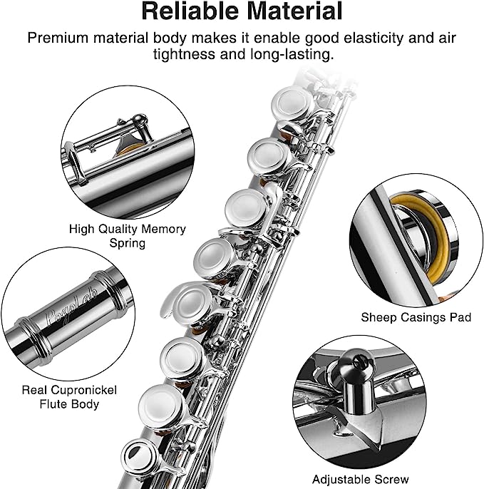 POGOLAB Flutes Closed Hole C 16 Keys Flute Case Kit for Beginner Advanced Player Instrument - LEKATO-Best Music Gears And Pro Audio