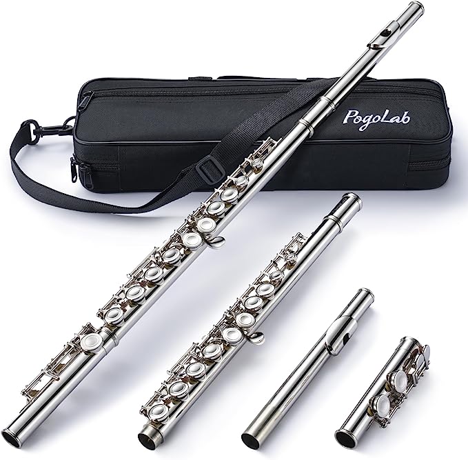 POGOLAB Flutes Closed Hole C 16 Keys Flute Case Kit for Beginner Advanced Player Instrument - LEKATO-Best Music Gears And Pro Audio