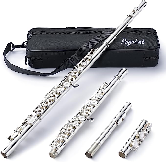 POGOLAB Open Hole C Flute Silver Plated 16 Keys Flute Instrument Set with Case - LEKATO-Best Music Gears And Pro Audio