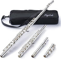 POGOLAB Open Hole C Flute Silver Plated 16 Keys Flute Instrument for Beginner Advanced Player Student Flute with Case
