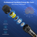JAMELO UHF Dual Cardioid Wireless Microphone w/ Receiver Handheld Dynamic Mic