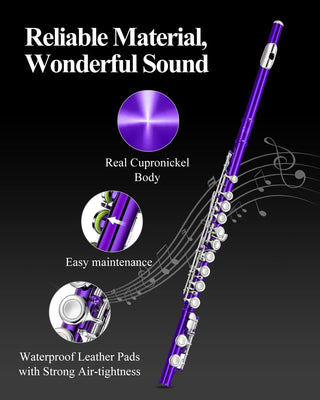 Buy purple POGOLAB Flutes Closed Hole C 16 Keys Flute Case Kit for Beginner Advanced Player Instrument