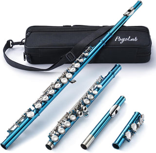 Buy sky-blue POGOLAB Flutes Closed Hole C 16 Keys Flute Case Kit for Beginner Advanced Player Instrument