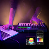 LEKATO 25 Keys MIDI Keyboard Controller USB 8 RGB Backlit CubeSuite Software - LEKATO-Best Music Gears And Pro Audio